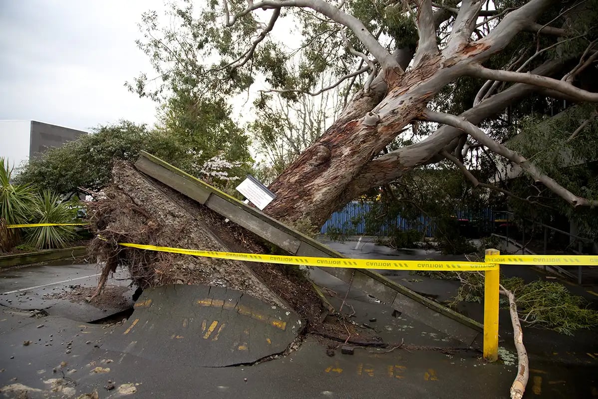 Storm damage highlighting the need for resilient emergency communications and coordinated disaster response