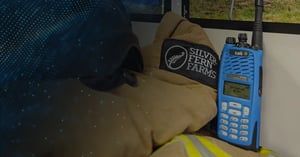 Silver Fern Farms, New Zealand