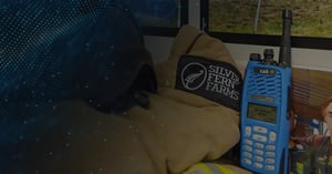 Silver Fern Farms, New Zealand