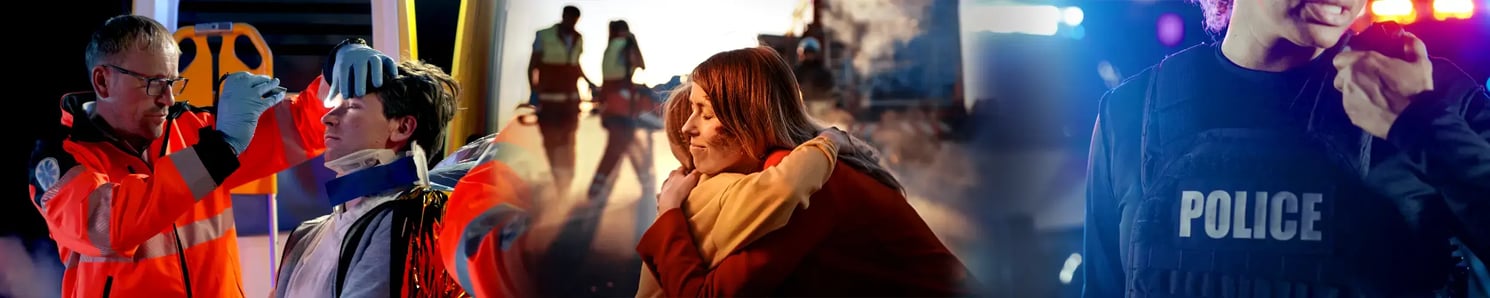 FLEXIBLE MULTIBAND MULTIPROTOCOL PORTABLES AND MOBILES 