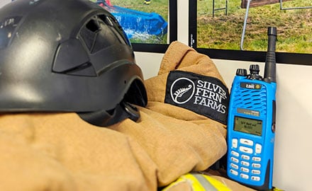 Silver Fern Farms, New Zealand