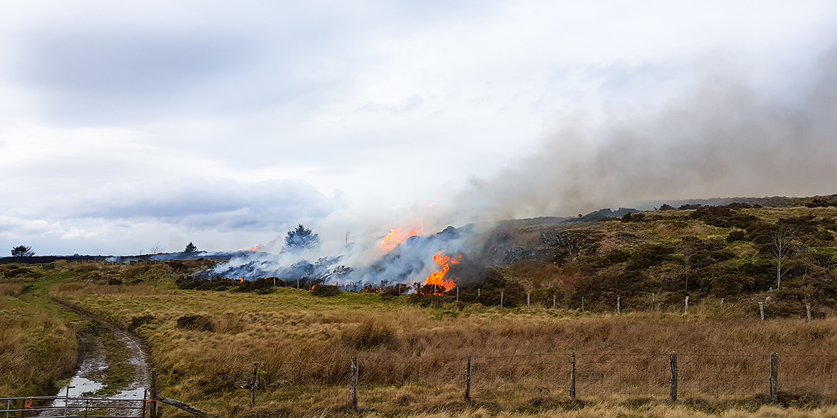 Moorland_Fire_Wales