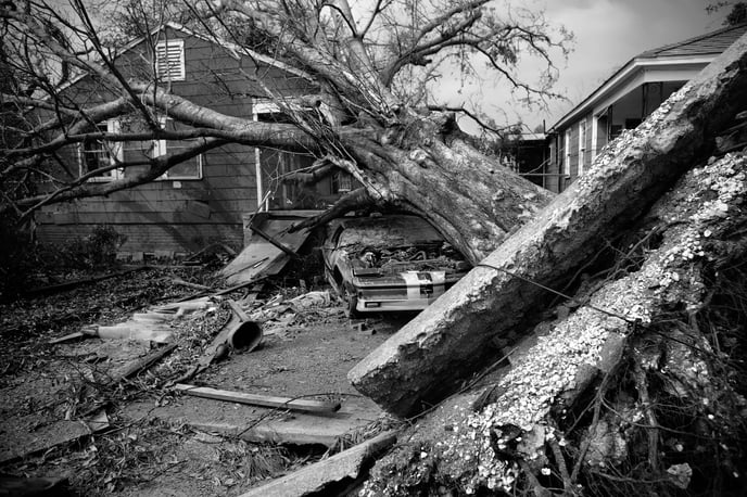 Natural Disaster