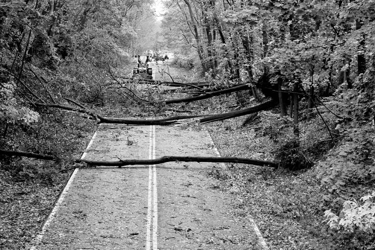 Natural Disaster